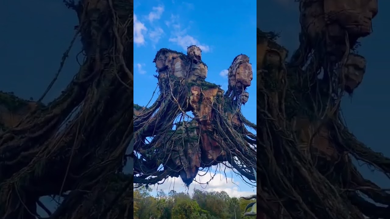 Pandora from Avatar at Disney World's Animal Kingdom! #travel #travellife #disney #travelcouple