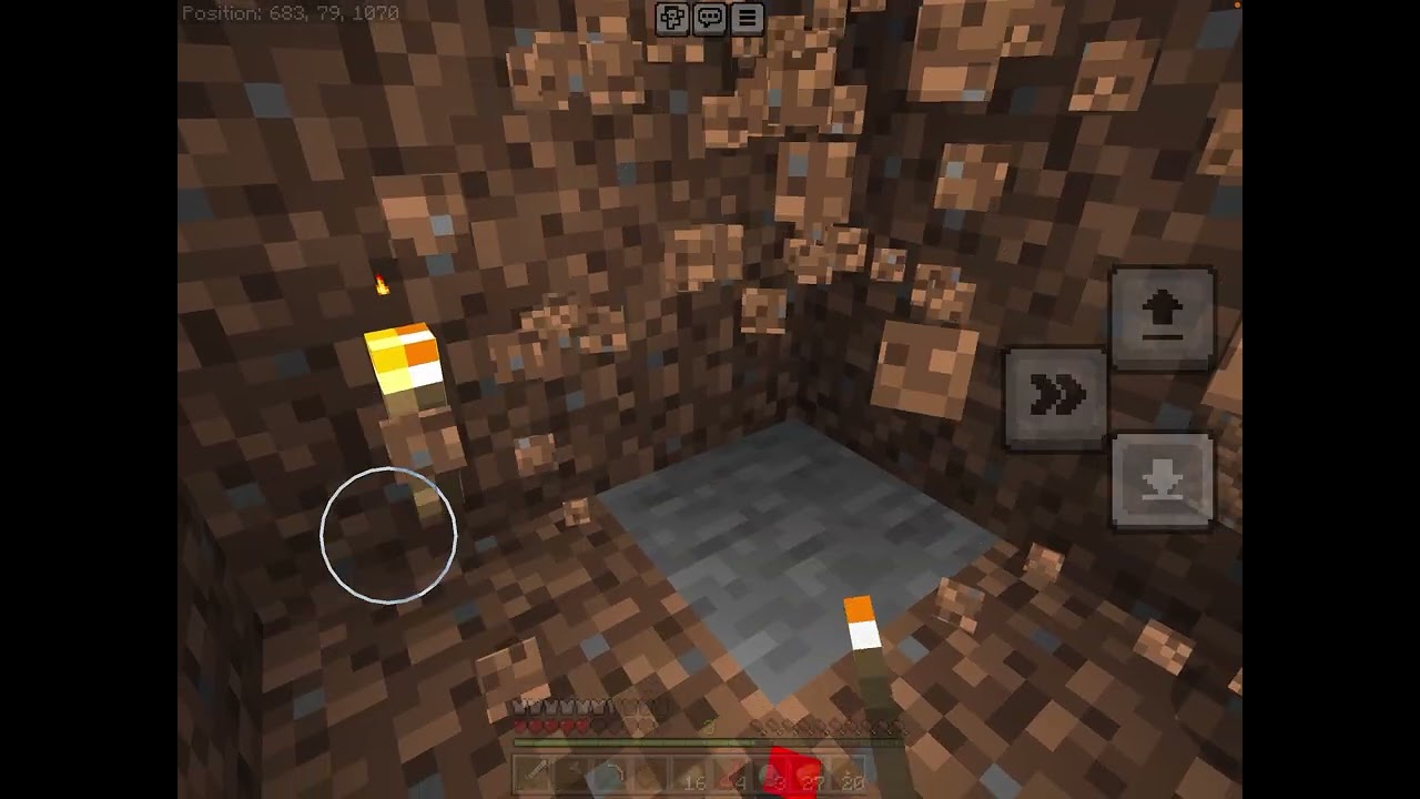 First video of the Mc smp