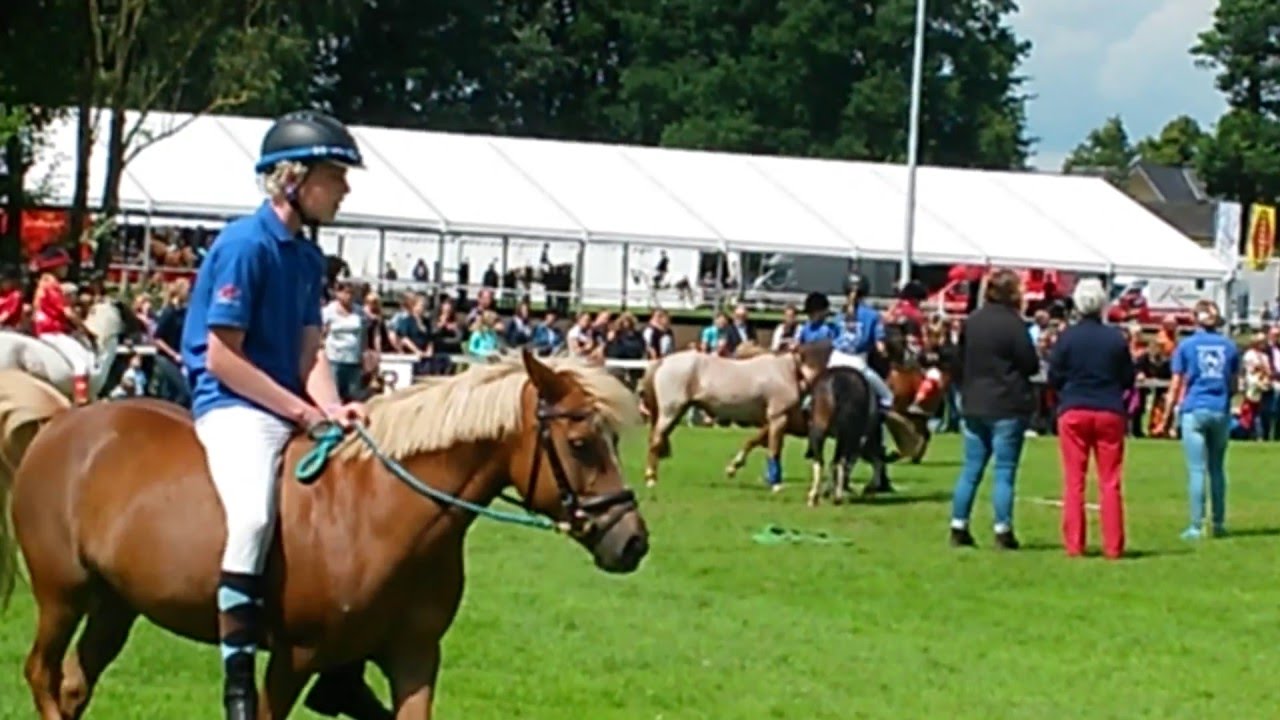 Finale Ponyspiele
