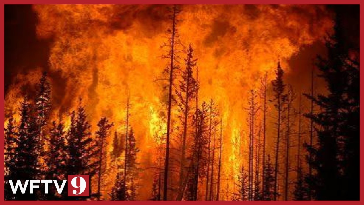 Более 100 миллионов американцев под угрозой из-за лесных пожаров в Канаде