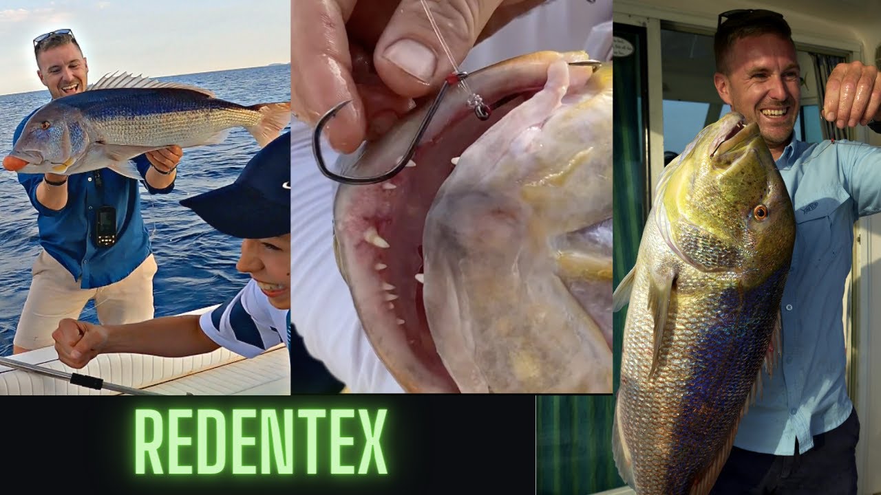 NOVE UDICE i u DVA ZUBACA 20 Kg (!?) (VMC Redentex)