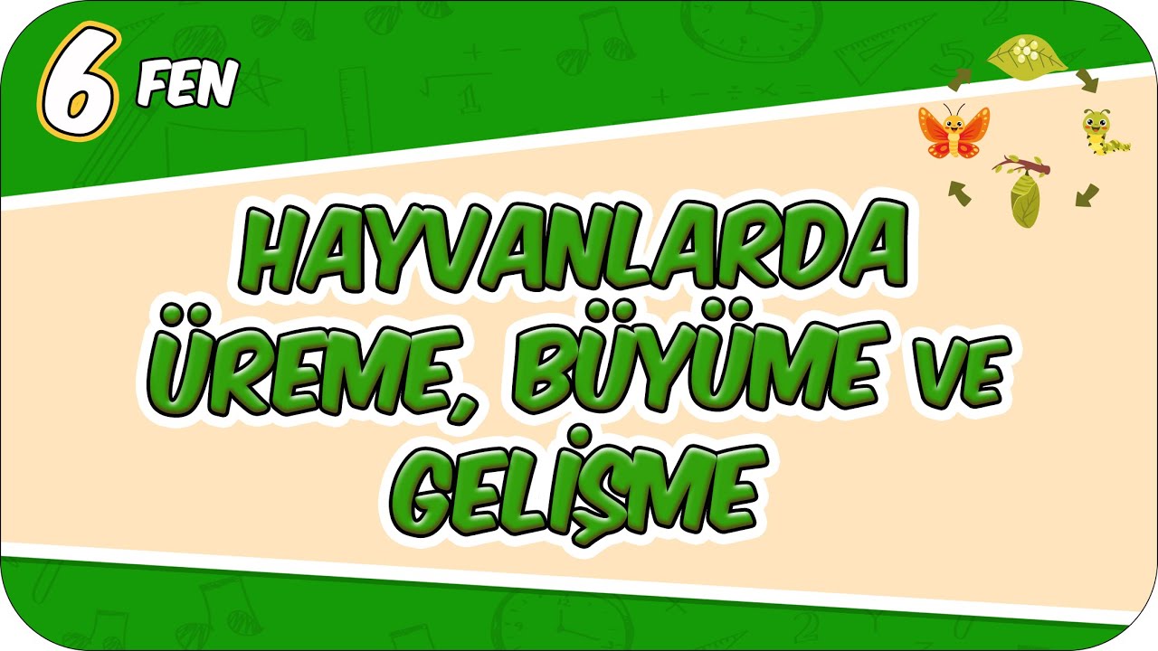 Hayvanlarda Üreme, Büyüme ve Gelişme - Konu Özeti 📗 6FEN7 #2026
