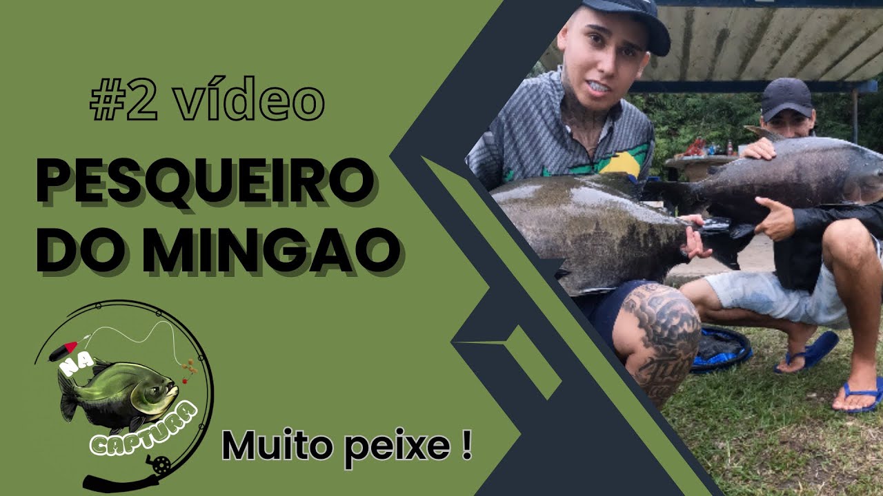PESQUEIRO DO MINGAO, MUITO PEIXE ! UMA PESCA INESPERADA QUE DEU BOM !