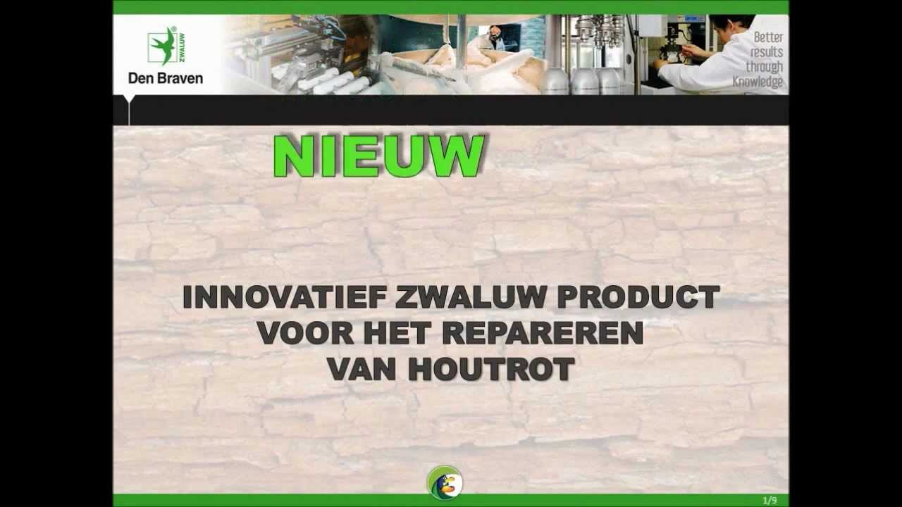 871 DEN BRAVEN HOUTREPARATIE REPOX
