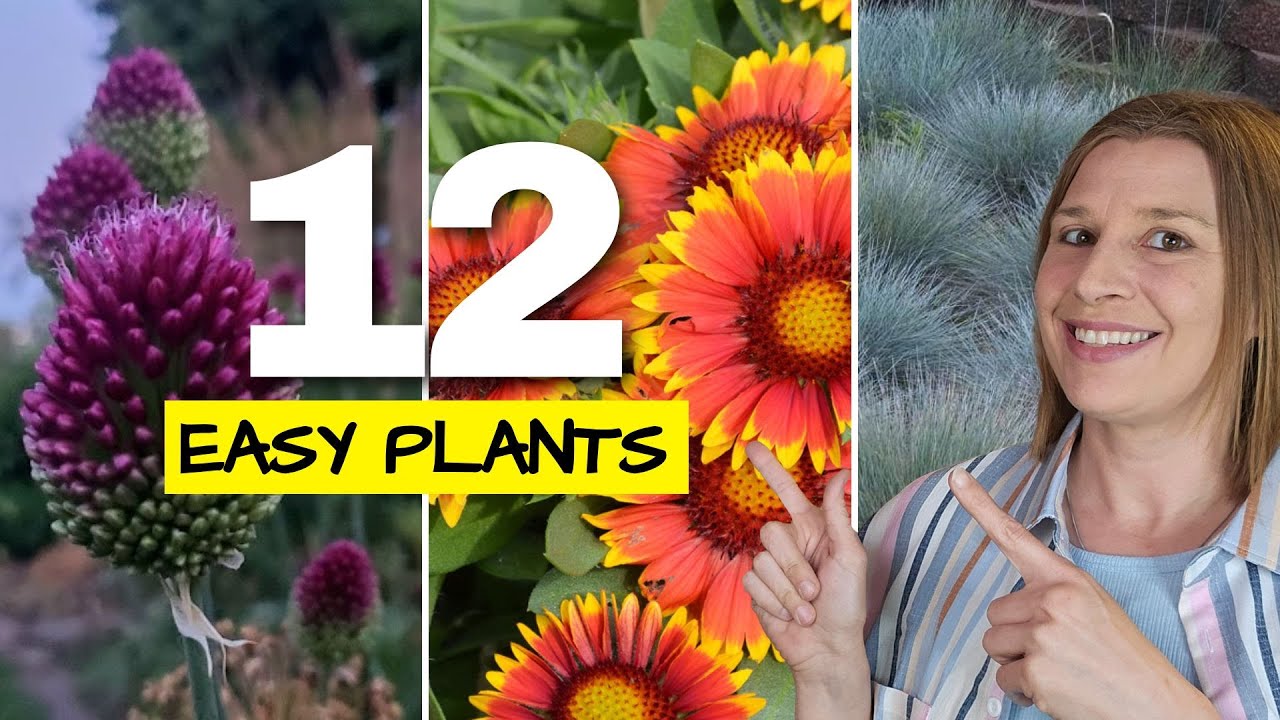 12 Low Maintenance Plants for an Easy Care Garden