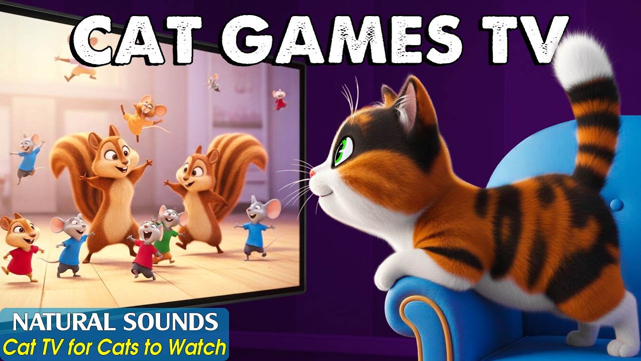 Relaxing CAT TV - 3D CAT GAMES😸 Keep Your Cats Entertained when Home Alone with Calm Videos for Cats