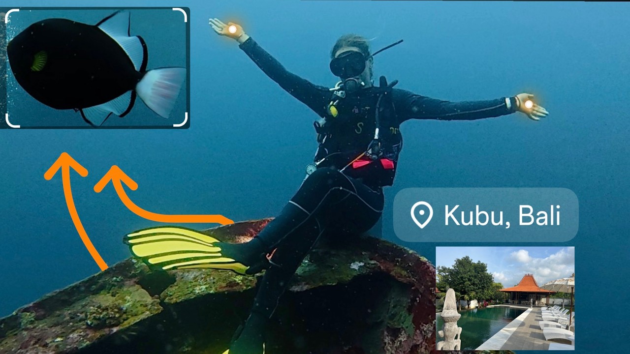 Boga Kubu Ship Wreck in Bali Indonesia - Scuba Dive | Underwater Statues | 45m Sunken Cargo Ship