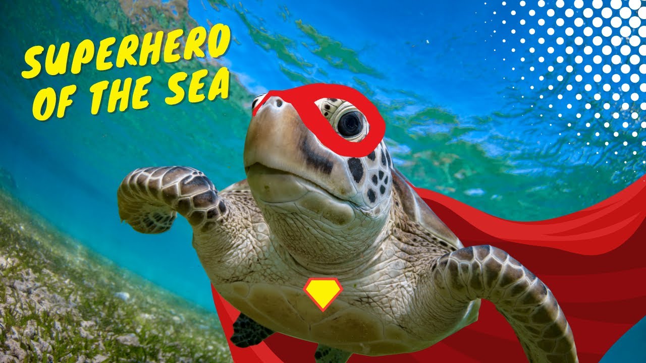 Sea Turtles are real life SUPERHEROES! 🐢🦸