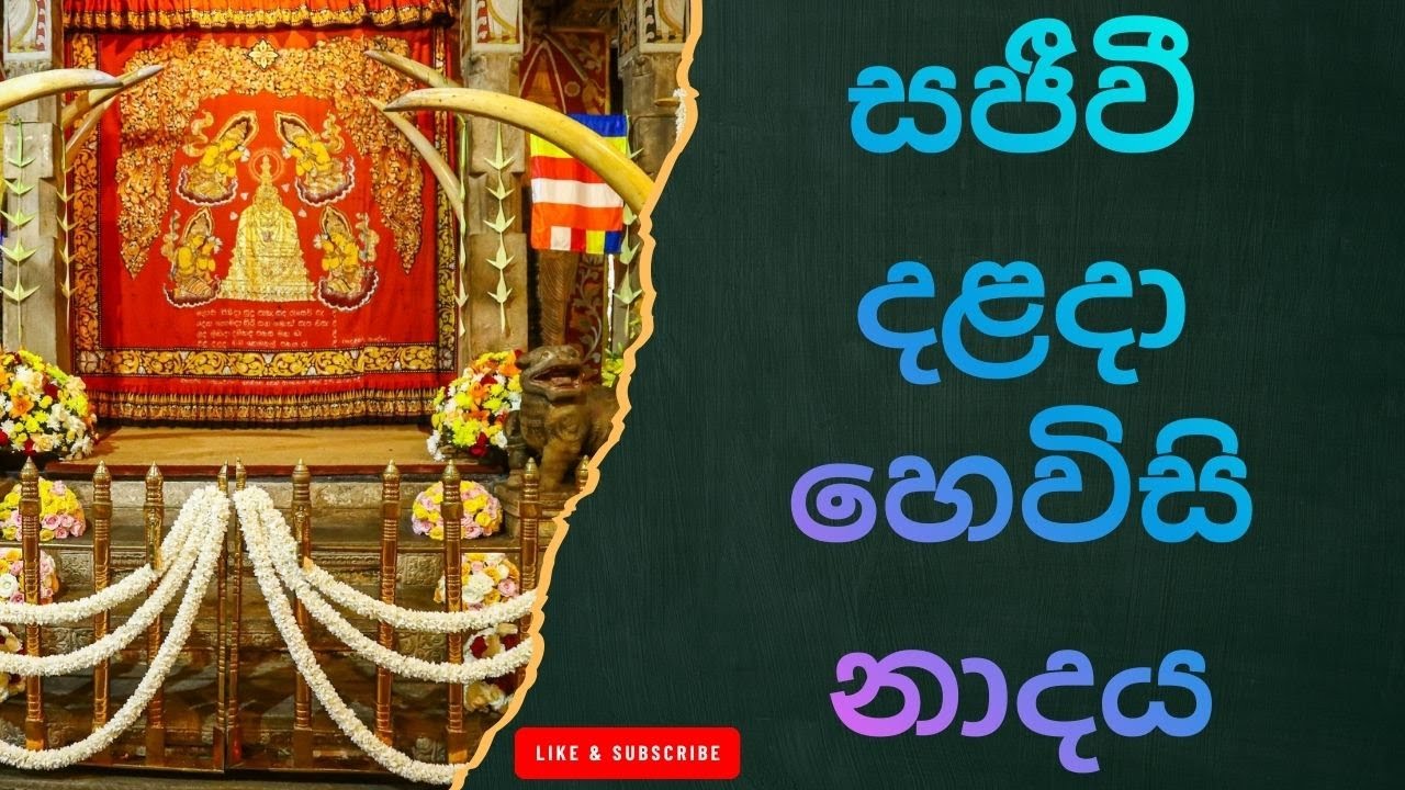 හෙවිසි නාදය: සිත් සන්සුන් කරන පූජනීය නාදය /The Sacred Sound of Hewisi – Sri Dalada Maligawa