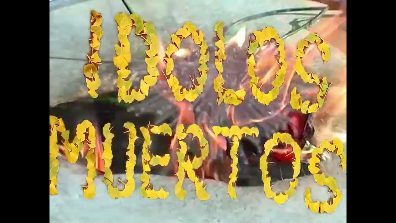 Ídolos Muertos - Flores Caras (videoclip)