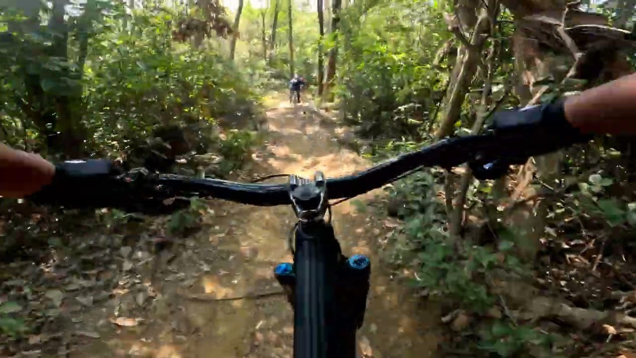 Hornet's Nest Trail | Tai Mo Shan