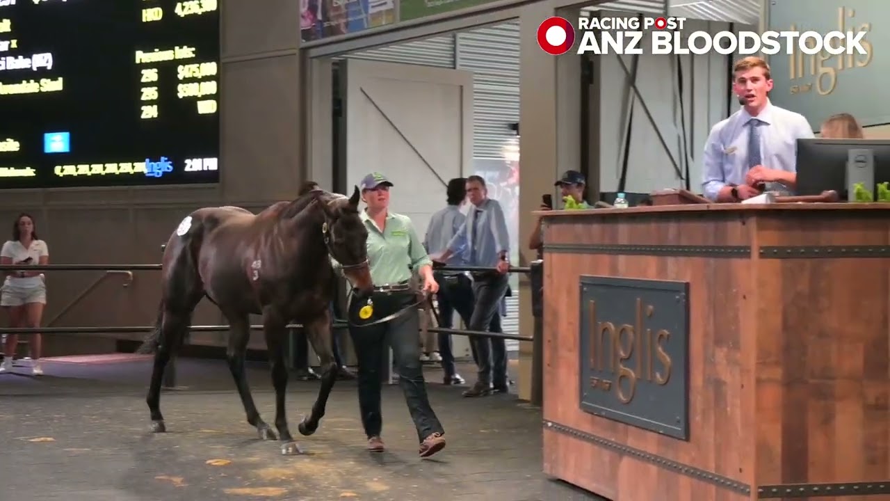 2025 Inglis Easter Sale - Little Avondale create their own history at Riverside