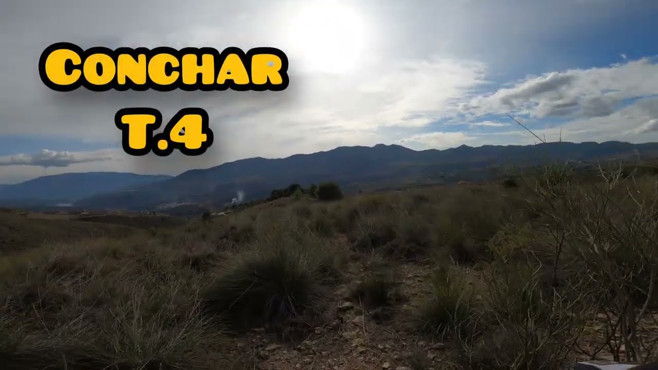 Conchar T.4