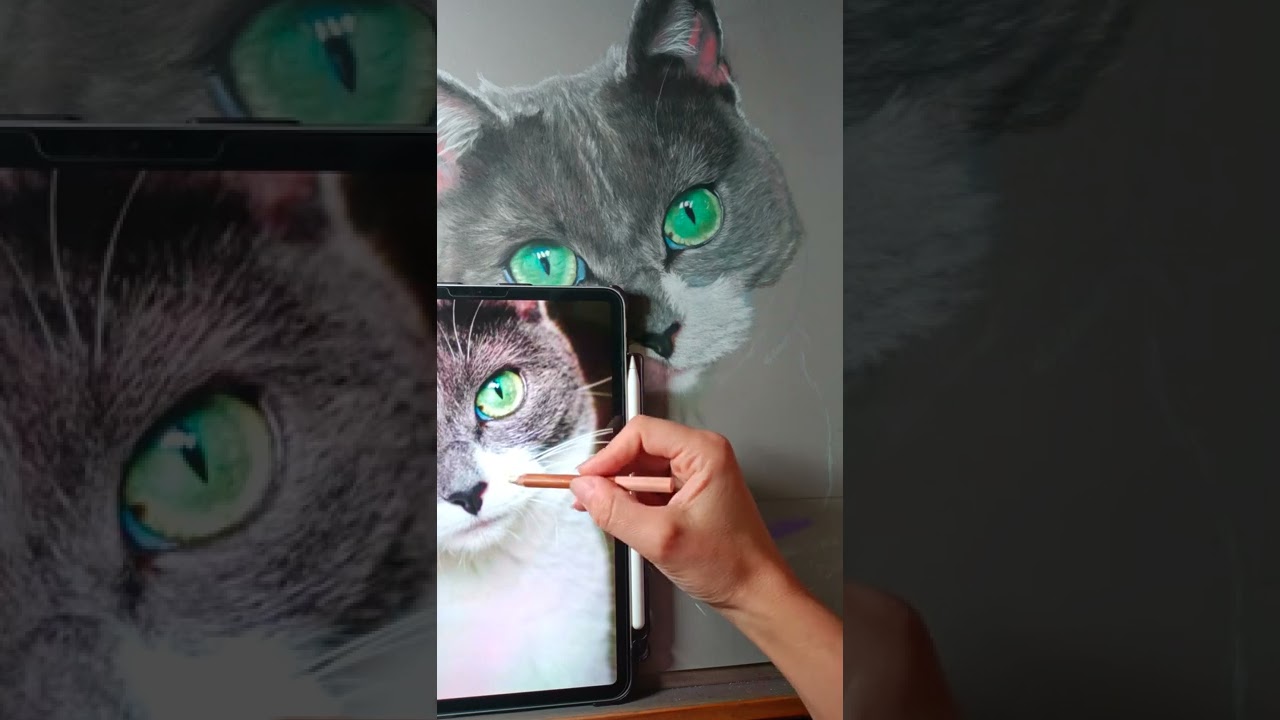 tuto : comment réaliser des poils de chat blancs (poitrail) au pastel sec. partie 2 .