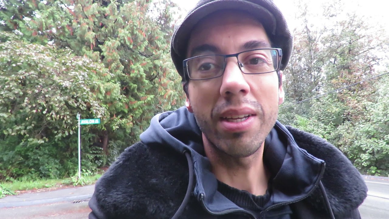 Birding at Burnaby lake