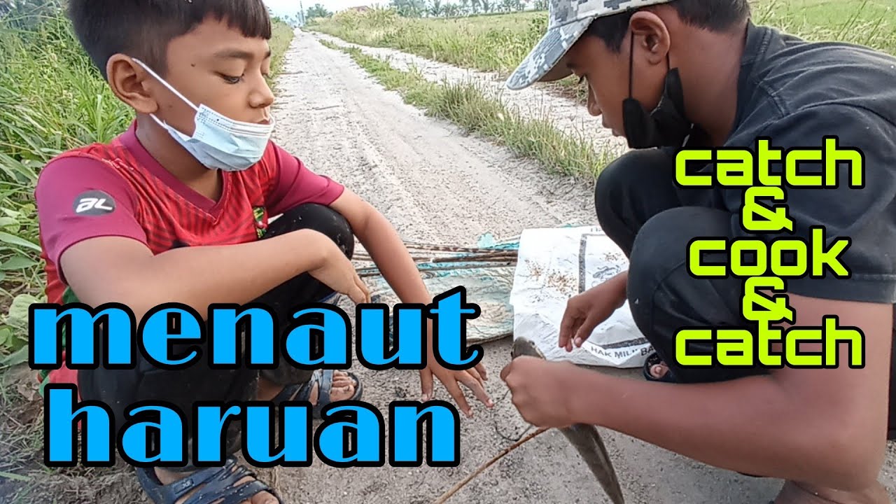 #EP327 Menaut Haruan di Tali Air dan Bendang