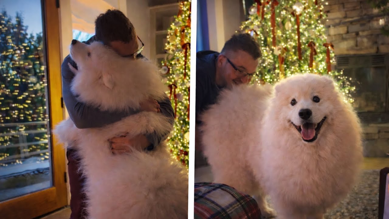 The Most Wholesome Moments on the Internet