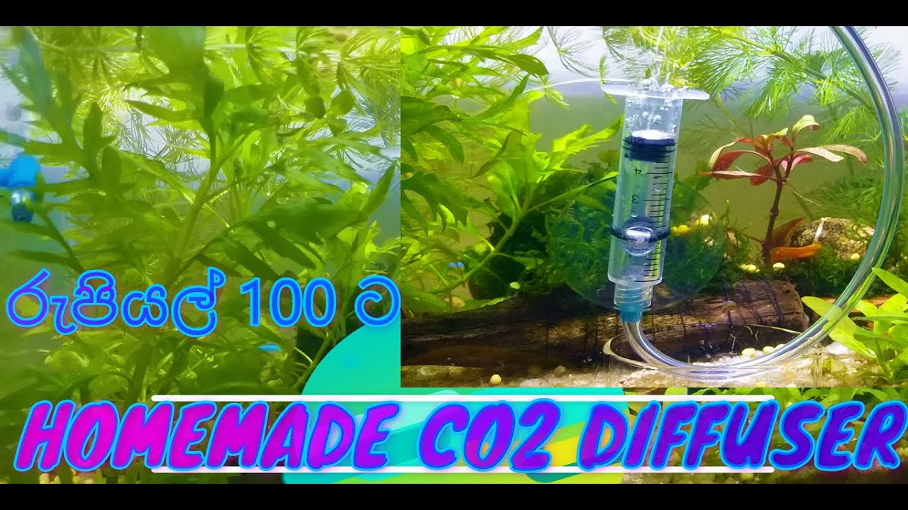 AQUARIUM DIY CO2 Diffuser build yourself in 5 minutes