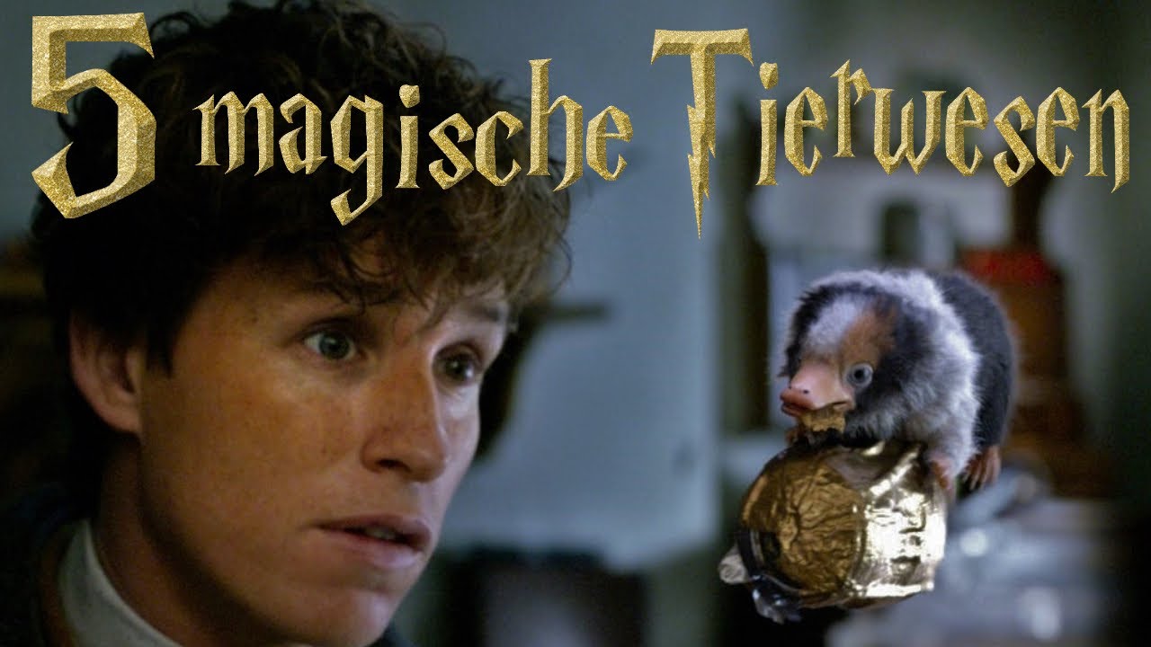 5 TIERWESEN aus Fantastic Beasts!