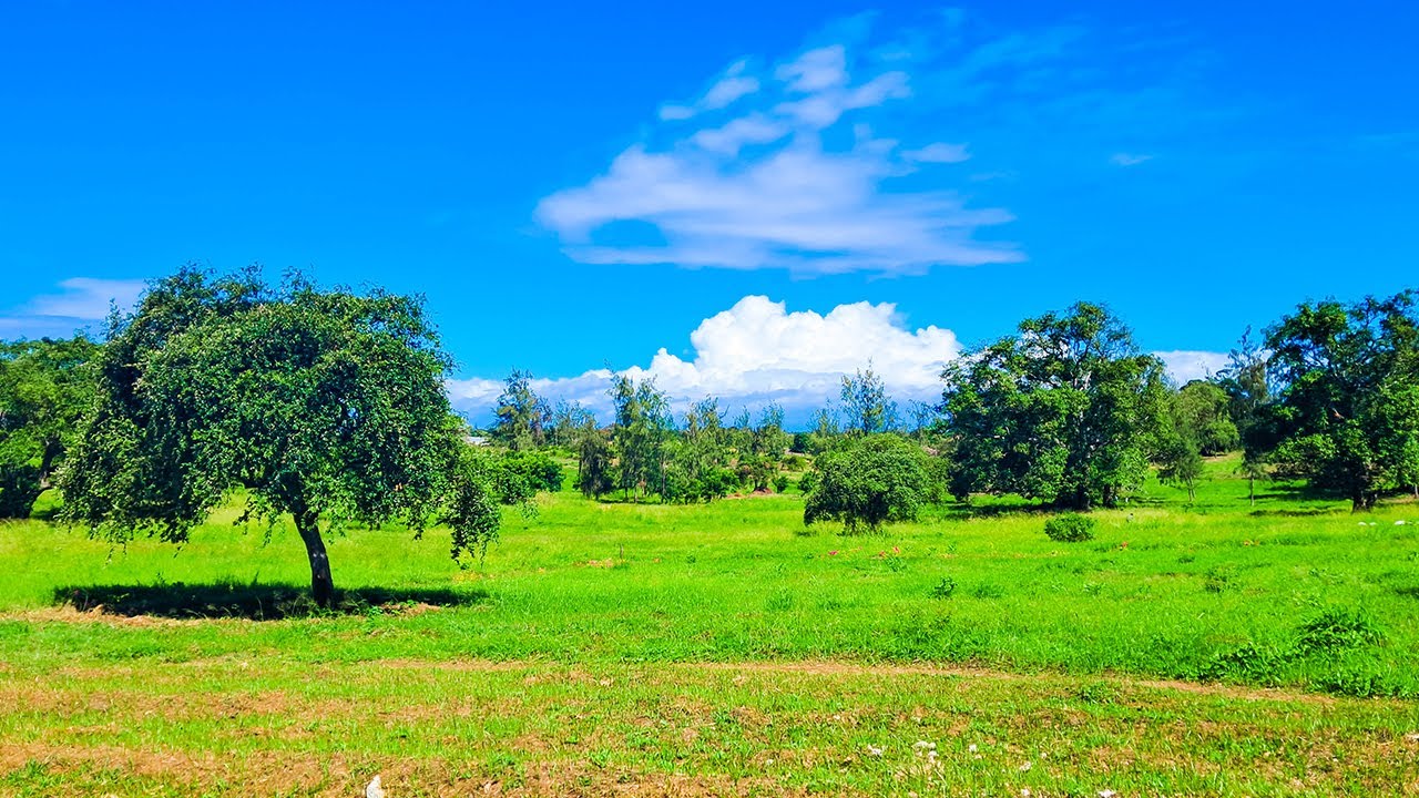 Sahihi Residence: Prime Residential Lots in Malindi 🏡 | Coast Values Kenya