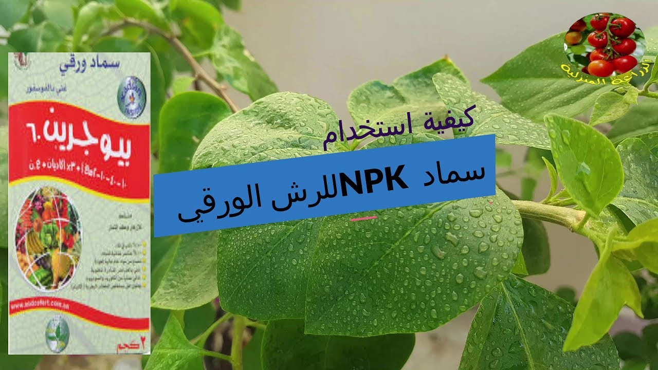 طريقة استخدام سماد NPK  للرش الورقي للنبات