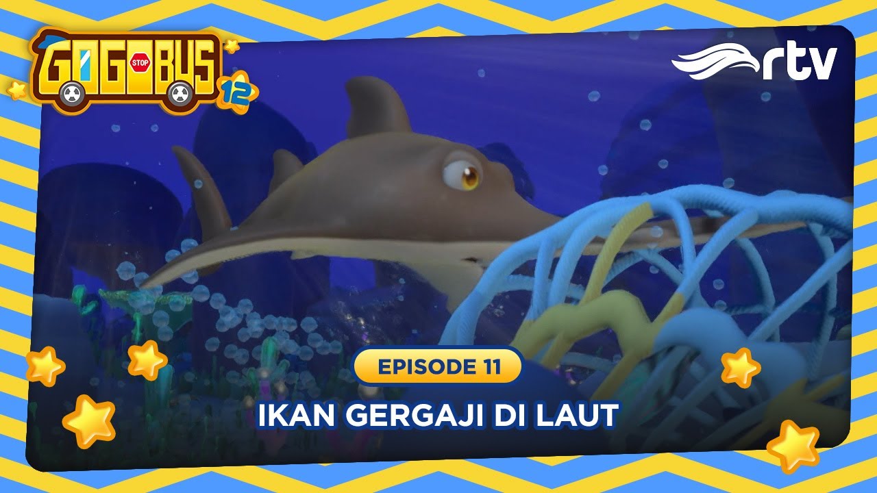 Ikan Gergaji Di Laut - Gogobus Indonesia RTV | Season 12, Episode 11