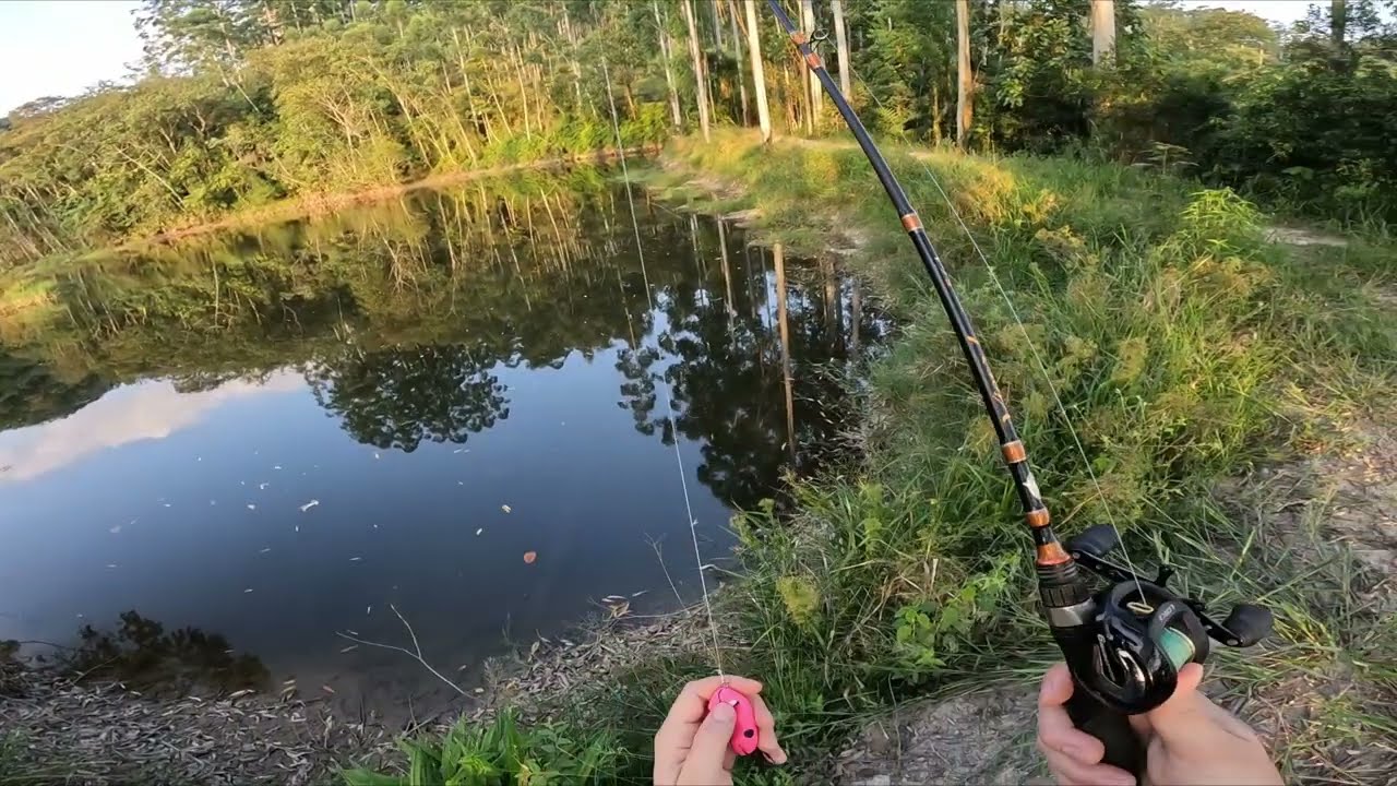 PESCA DE TRAIRA NO FINAL DA TARDE