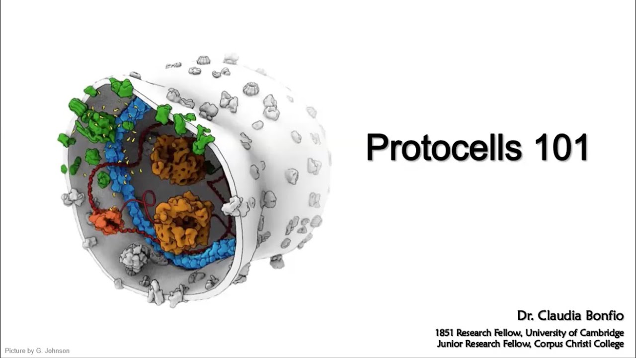 Protocells 101