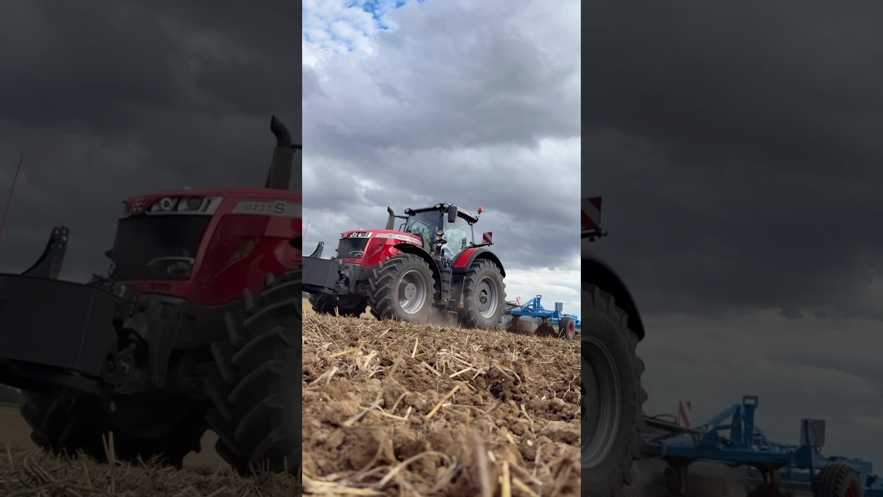 D&eacute;chaumage 2025 #masseyferguson #agriculture #d&eacute;chaumage #lemken #moisson