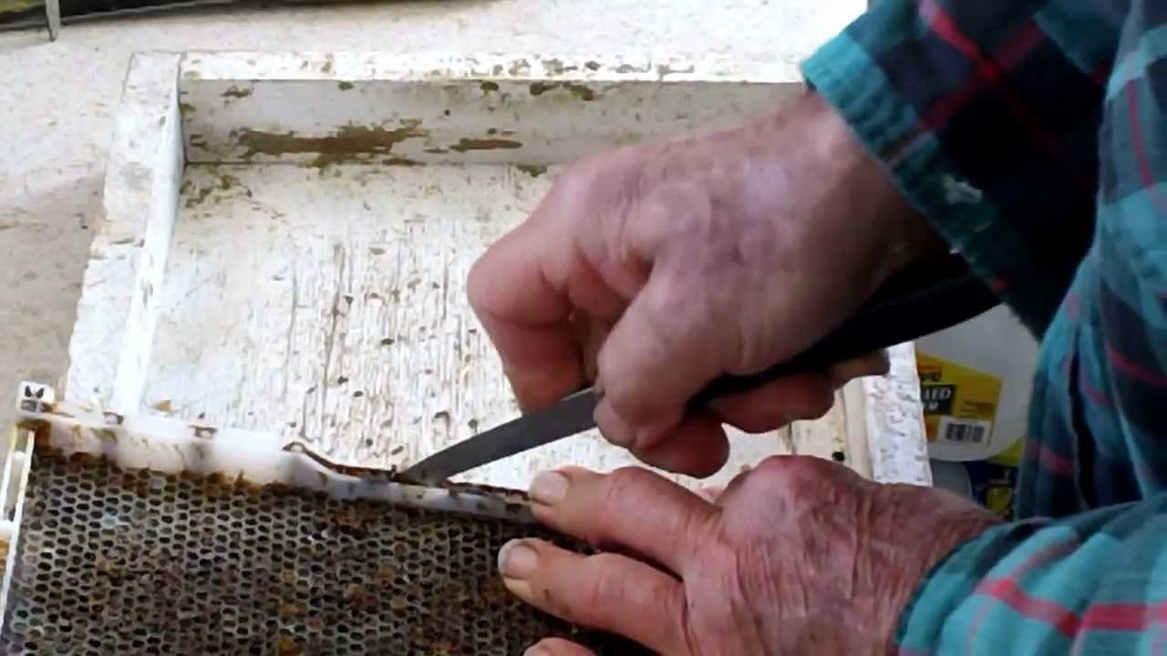 HOW TO CLEAN PLASTIC-FRAMES