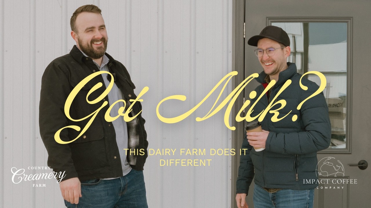 Forget everything you thought you knew about dairy farms...