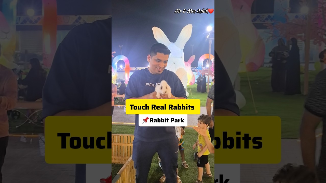 Touch Real Rabbits at Rabbit Park 😱only for 🔥5AED🔥 #rabbit #kidsactivities #dubaicouple