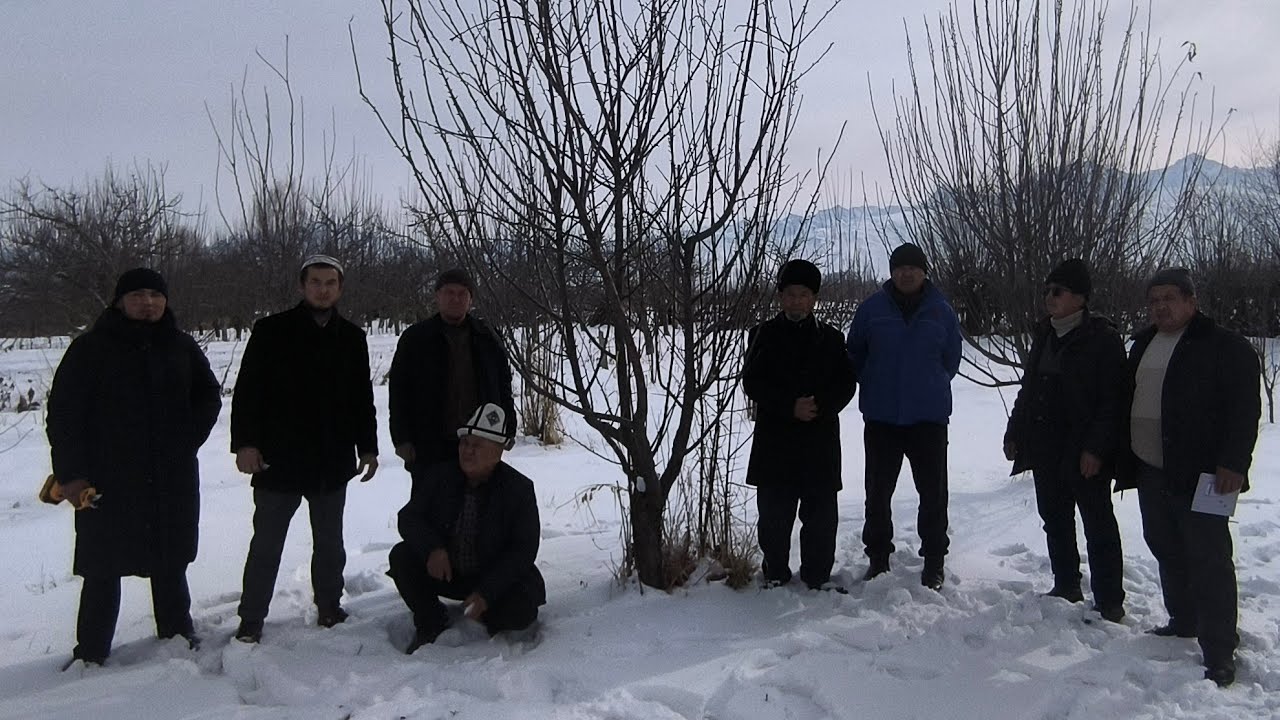 🍎🪚Алма остуруу боюнча семинар Ноокат 🍎🪚