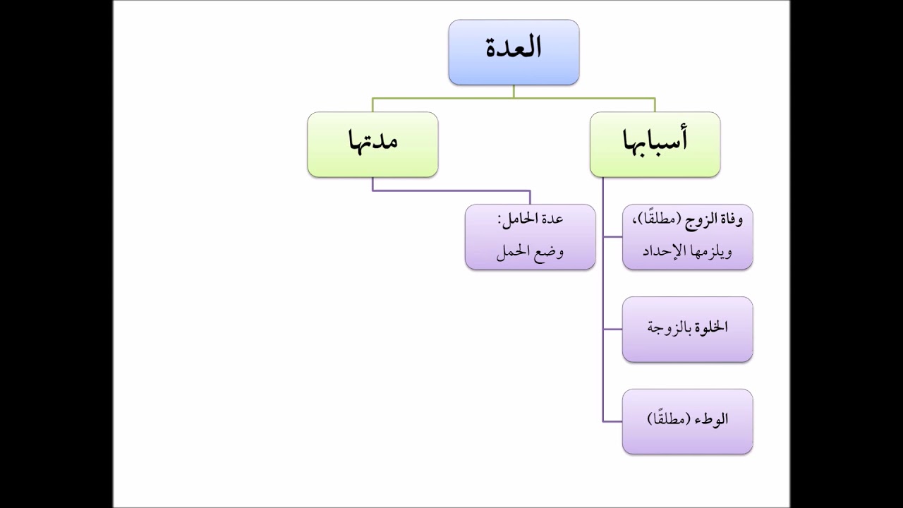 فقه الأسرة (31) العدة - عامر بهجت - التأهيل الفقهي