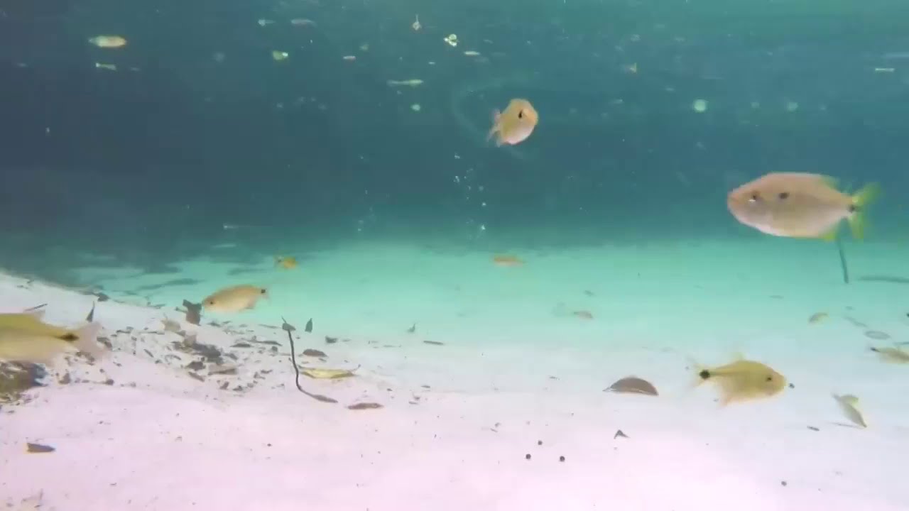 Areia que Canta em Brotas (SP) - Reportagem Globo Repórter