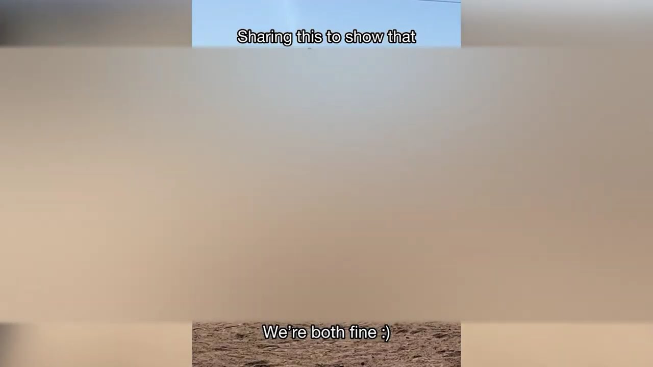 TOTAL IDIOTS AT WORK l Instant Regret 2024 # 11
