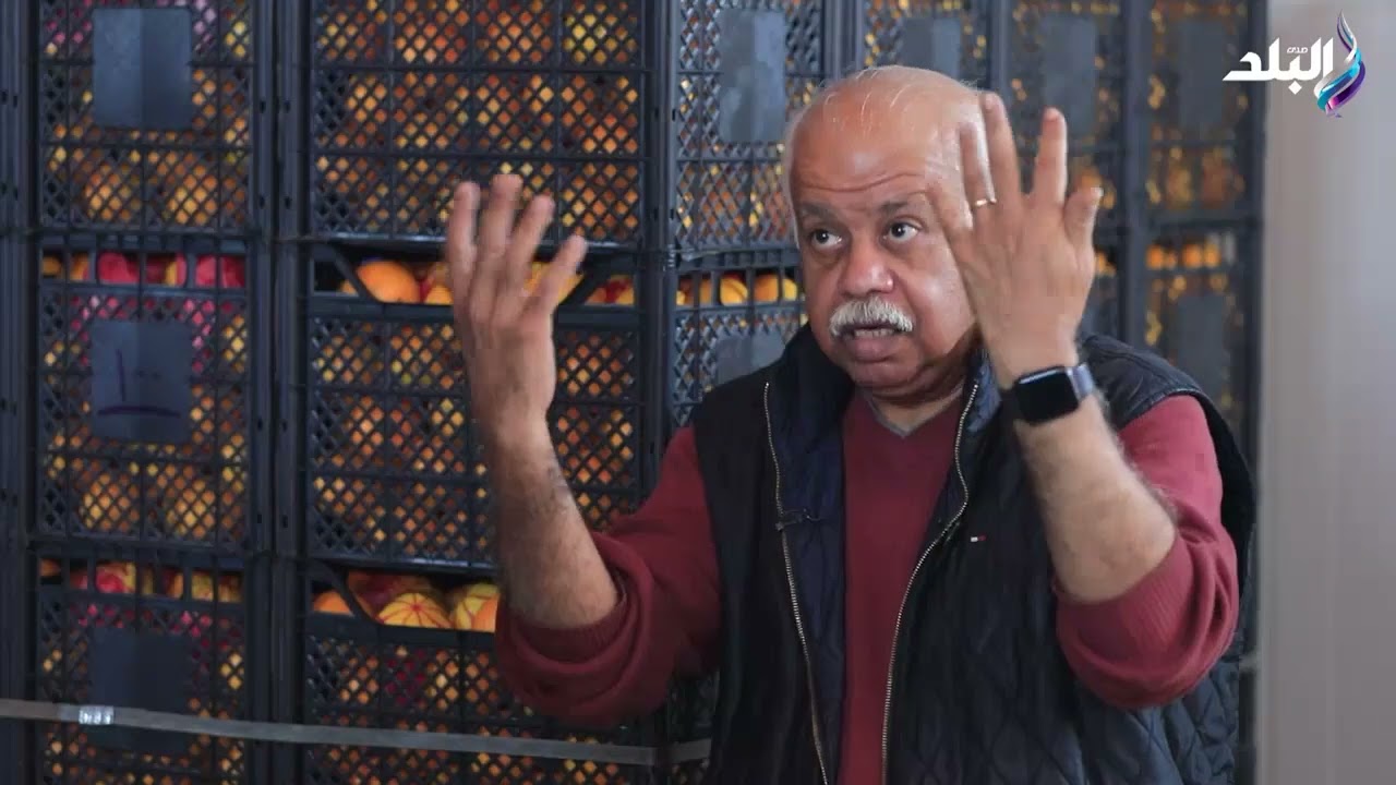 تعرف على أكثر أنواع البرتقال المصري المطلوب لـ التصدير