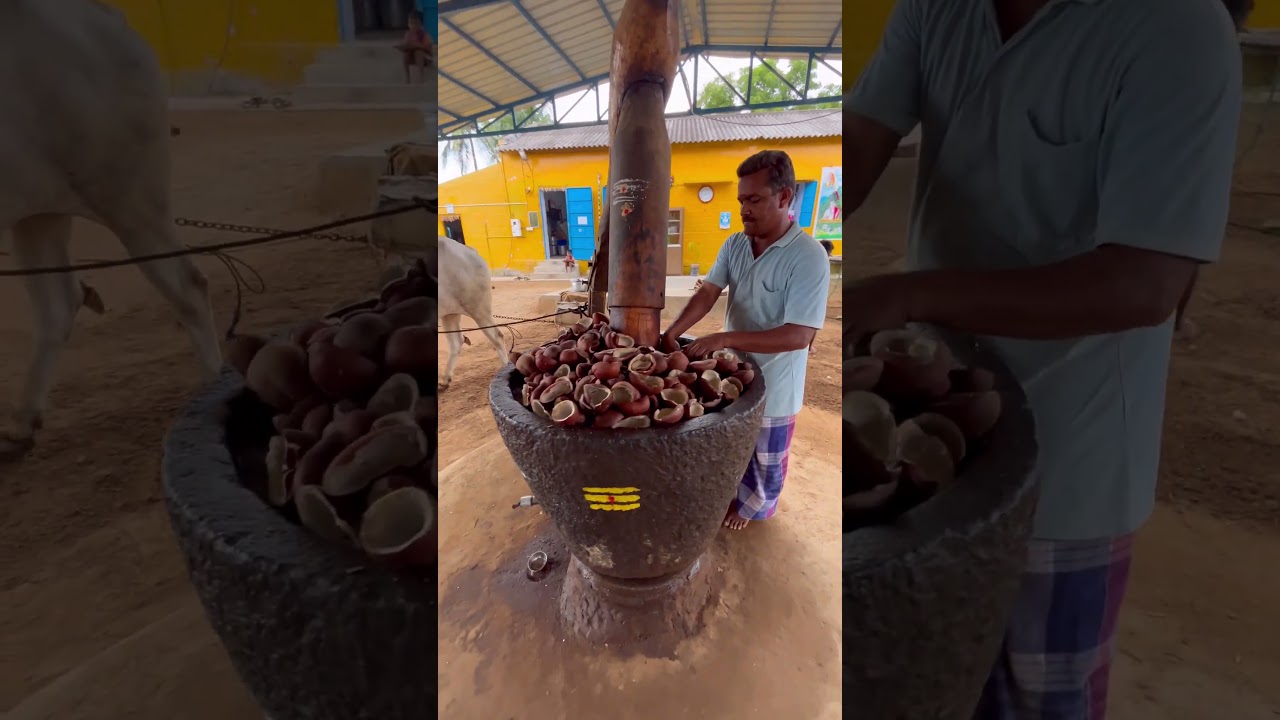 Whole Process of Coconut Oil Extraction