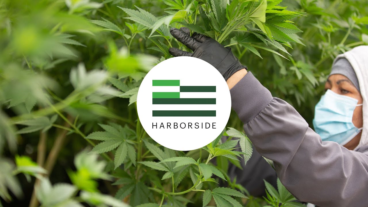 Tour of Harborside Farms
