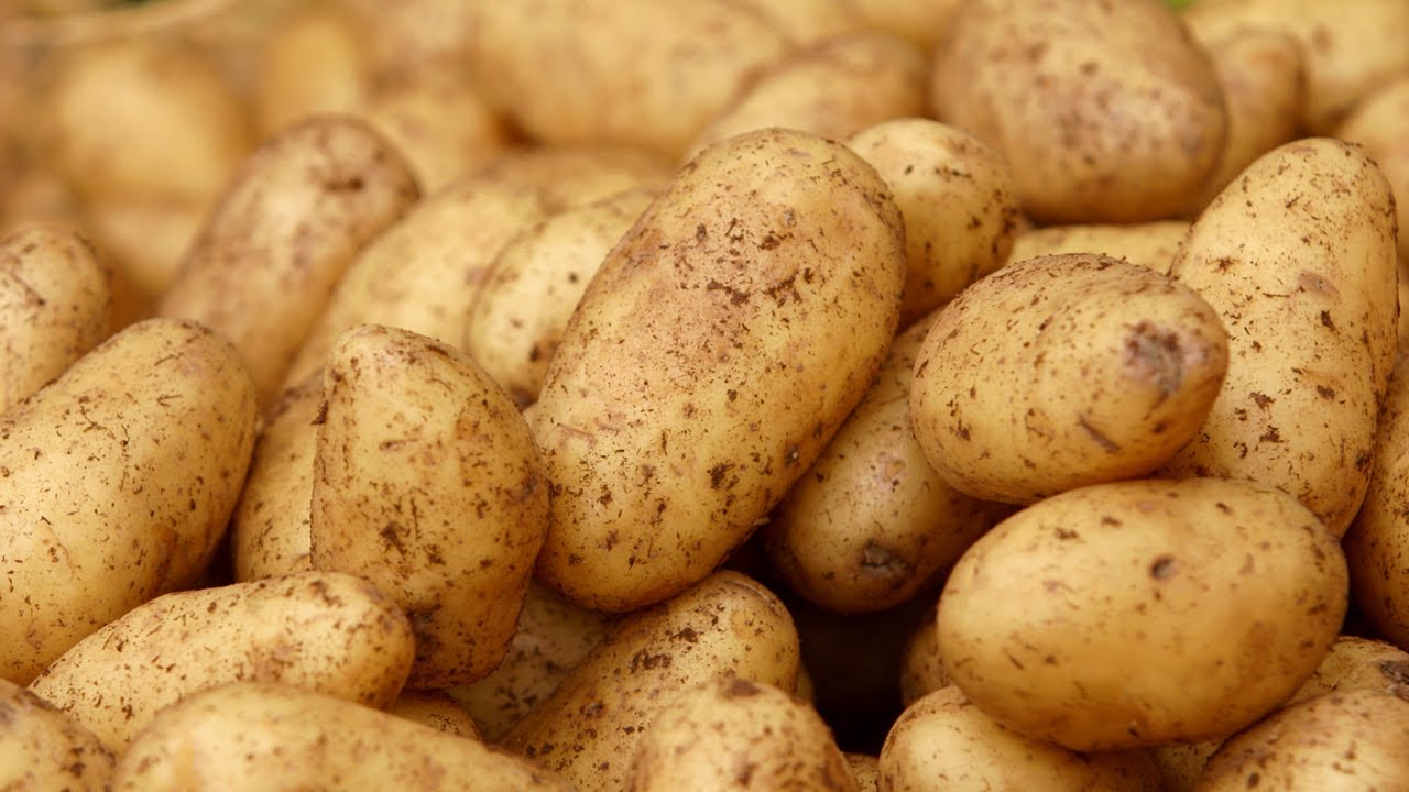How to Store Potatoes | At Home With P. Allen Smith