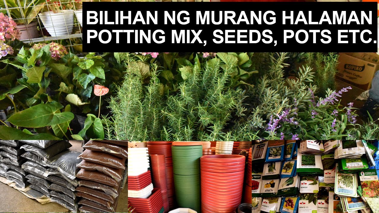 BILIHAN NG MURANG HALAMAN, POTTING MIX, SEEDS, POTS AT IBA PANG  GARDENING MATERIALS