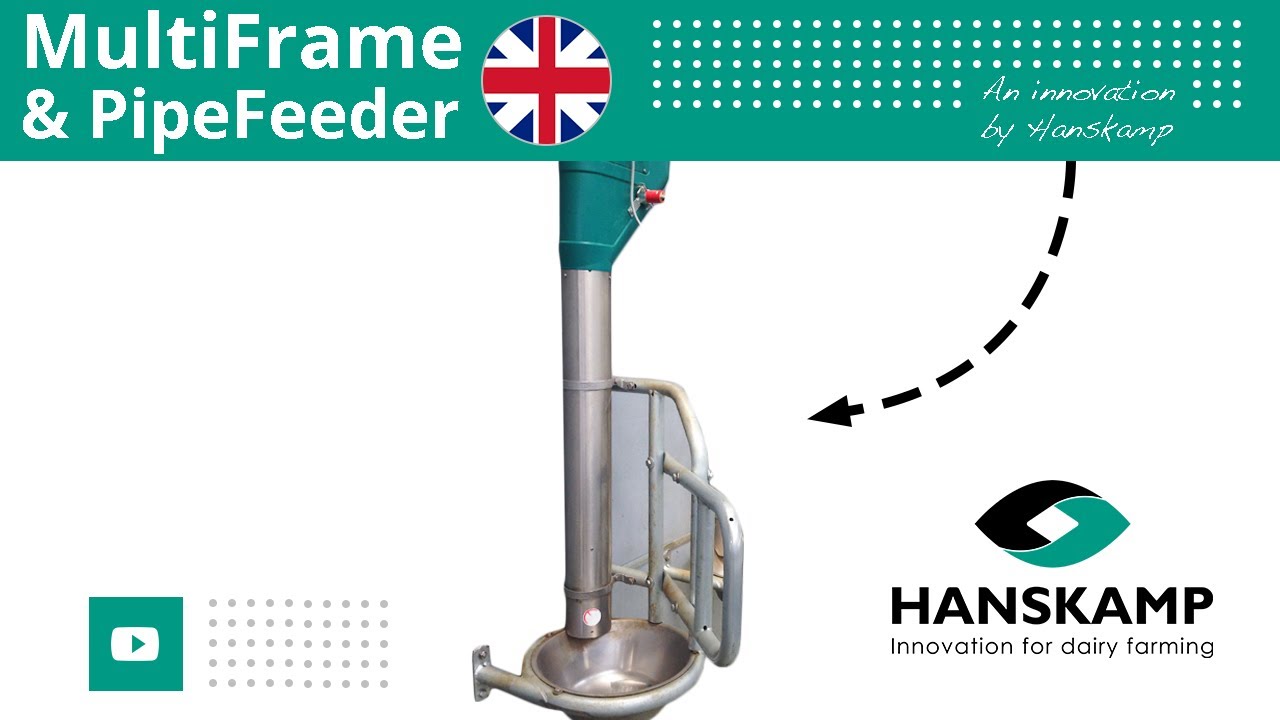 MultiFrame and PipeFeeder | Concentrates in-parlour feeding and a Perforated Manger | Hanskamp