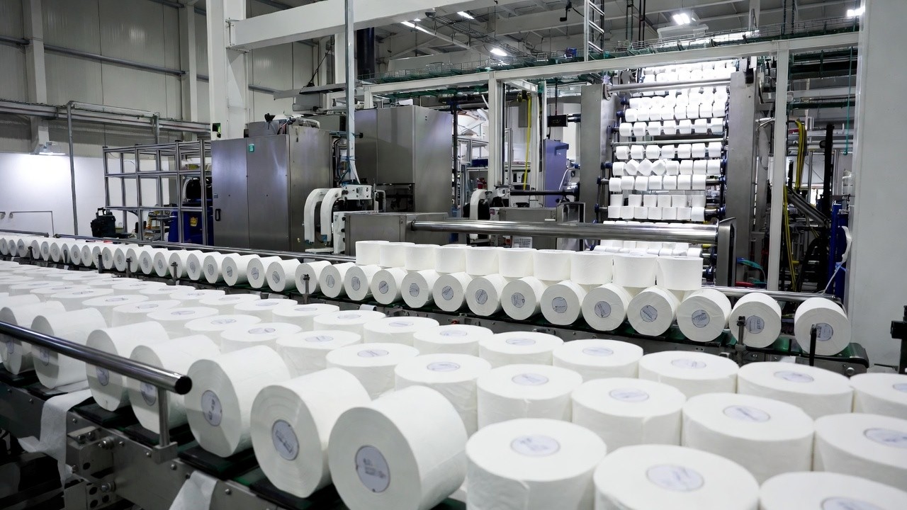 Behind the Scenes: How Toilet Paper Is Really Made