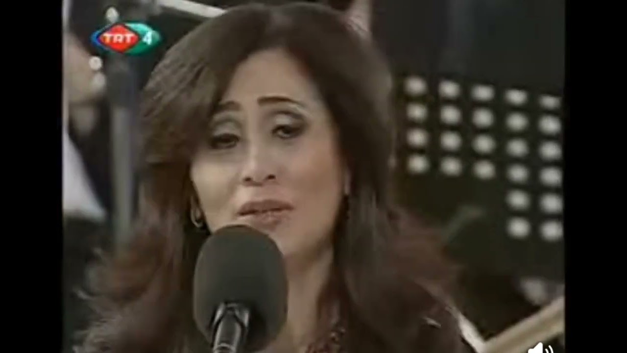 Sabahat Aslan / Aşağıdan Bir Yel Esti