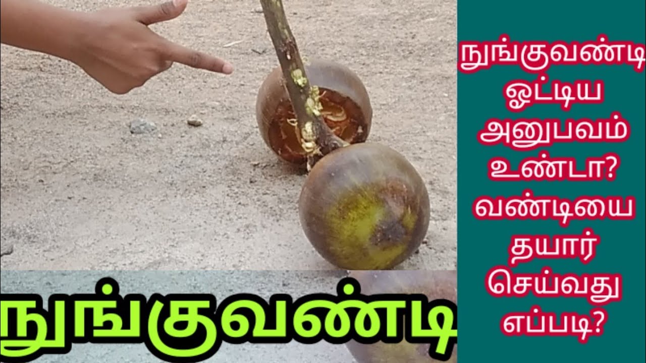 NunguVandi Seivadhu eppadi/ நுங்குவண்டி செய்வது எப்படி?நுங்குவண்டி ஓட்டலாம் வாங்க/Palm fruit Vehicle