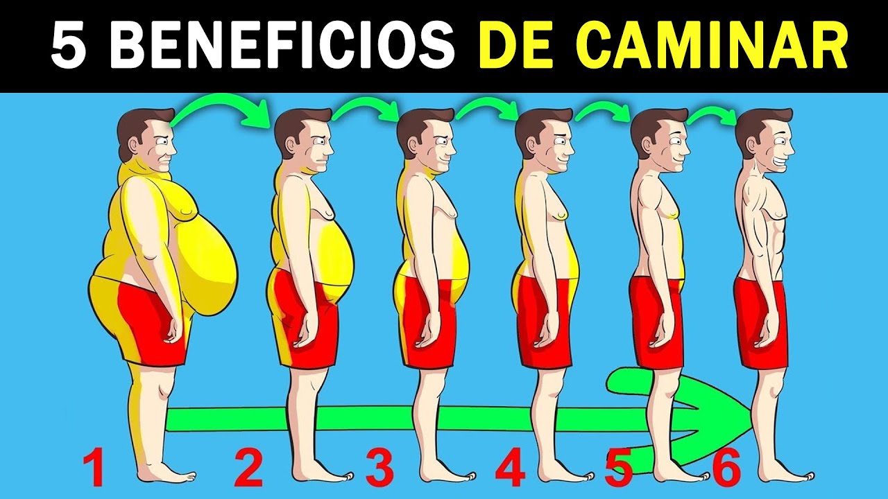 Cuáles son los BENEFICIOS de CAMINAR TODOS LOS DÍAS ✅