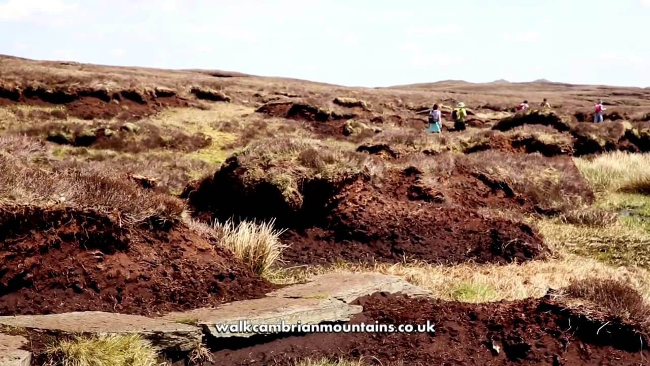 The Cambrian Mountains your next walking destination