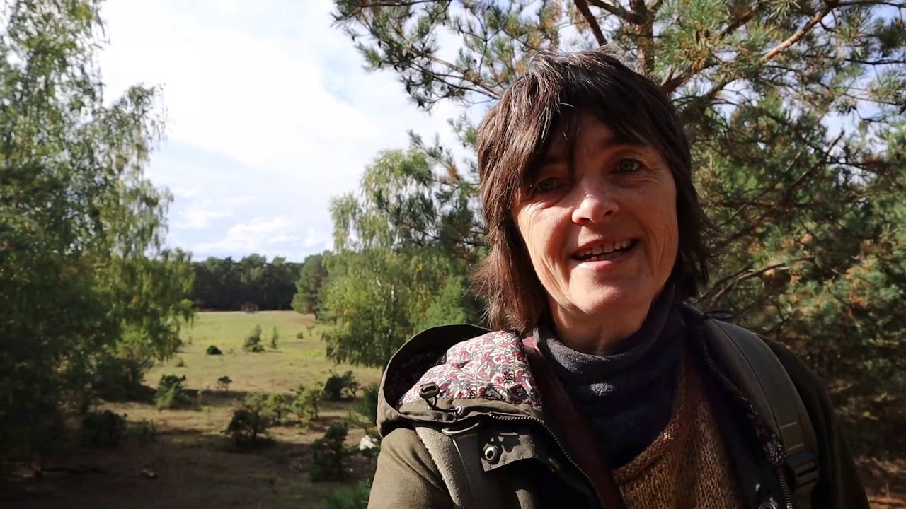 Reise Vlog ins Glauer Tal - wandern in Brandenburg