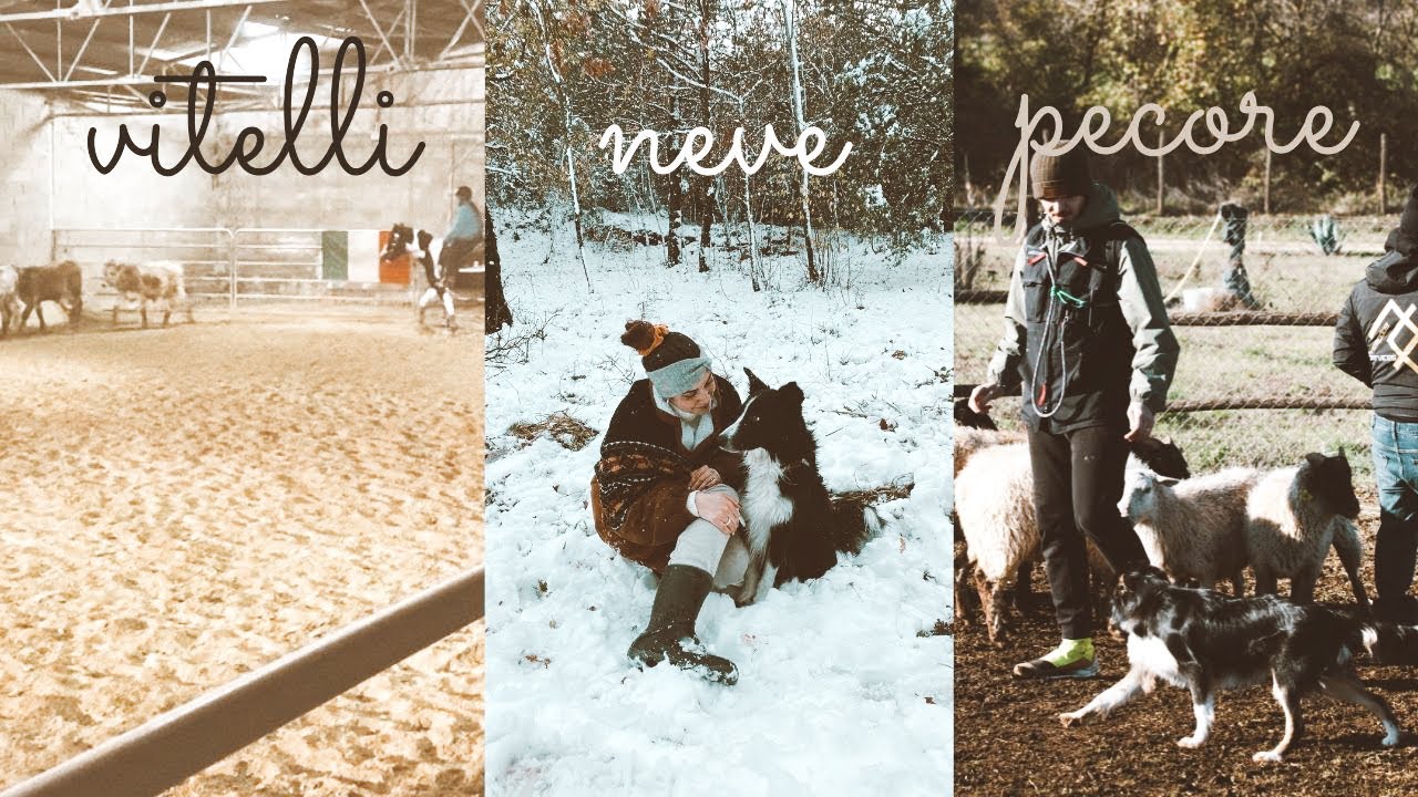 NUOVE ESPERIENZE! ✨VLOGMAS✨ ||GS||