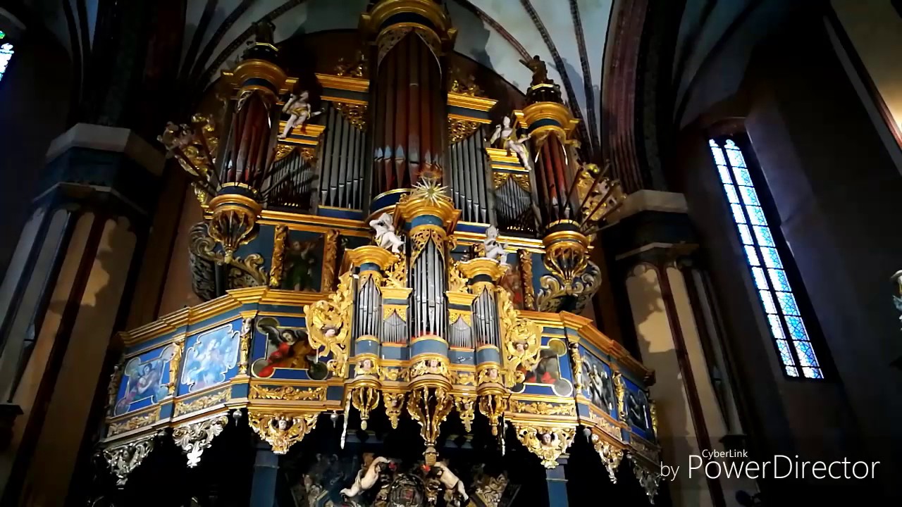 Koncert organowy Frombork